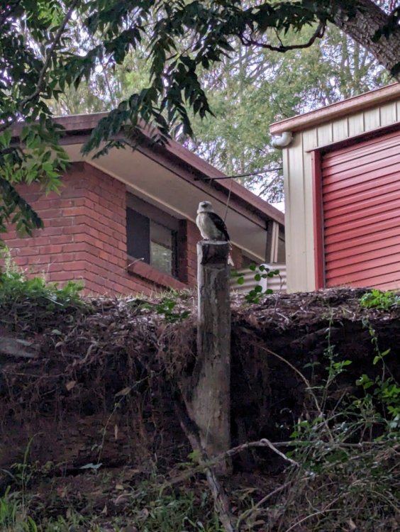 harold 7.01.2025.jpg