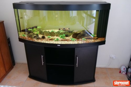 Juwel 450 Fish Tank, Matching Cabinet, Light, Fitration, and Accessories - 450 L