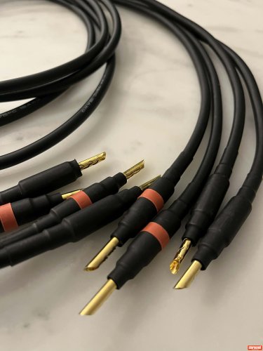 Mogami 3082 Speaker Cables