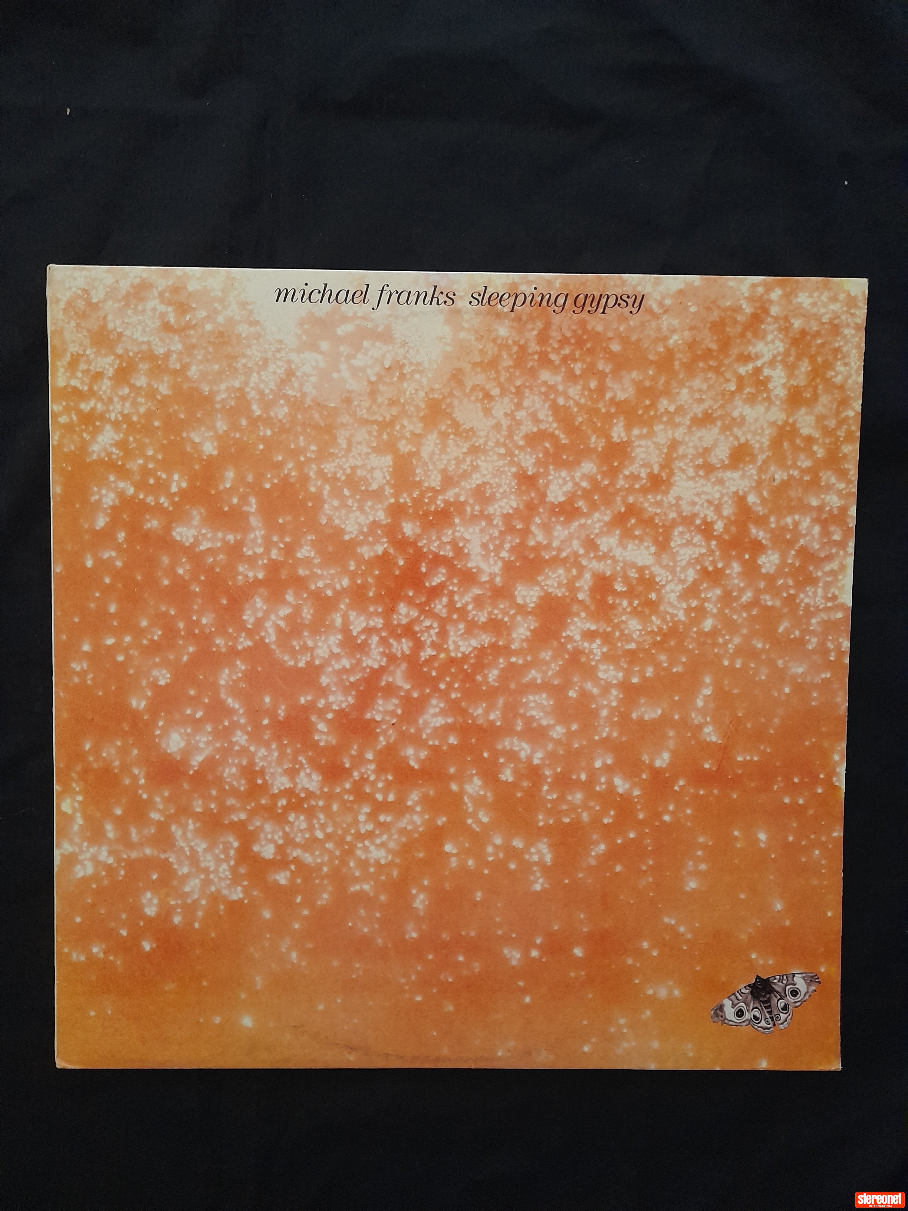 Michael Franks - Sleeping Gypsy