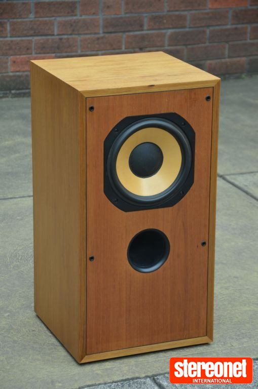 Custom Focal 10 inch powered Subwoofer
