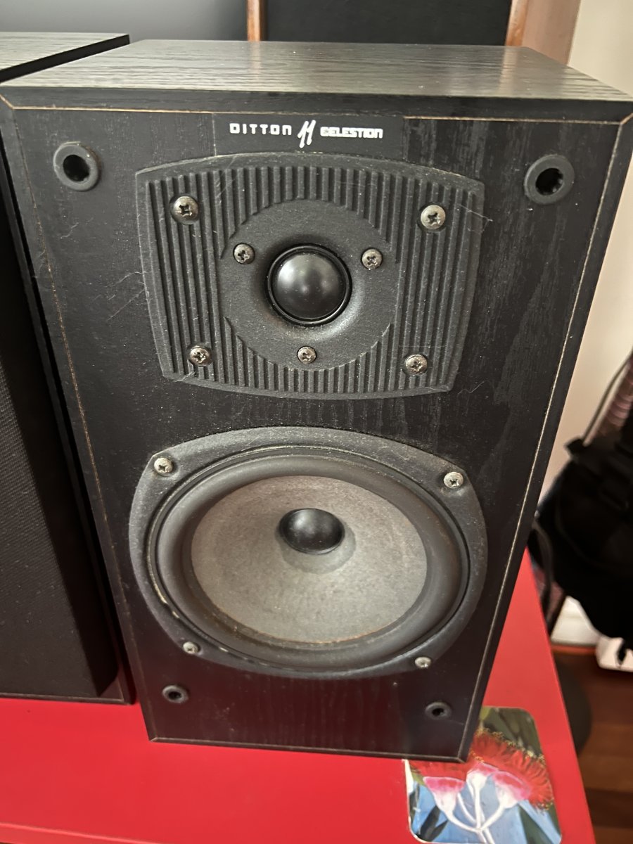 Celestion Ditton 11 ID?