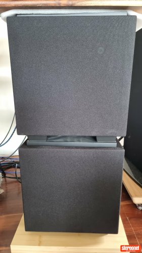 Definitive Technology DN-8 Subwoofer (Active / Powered)