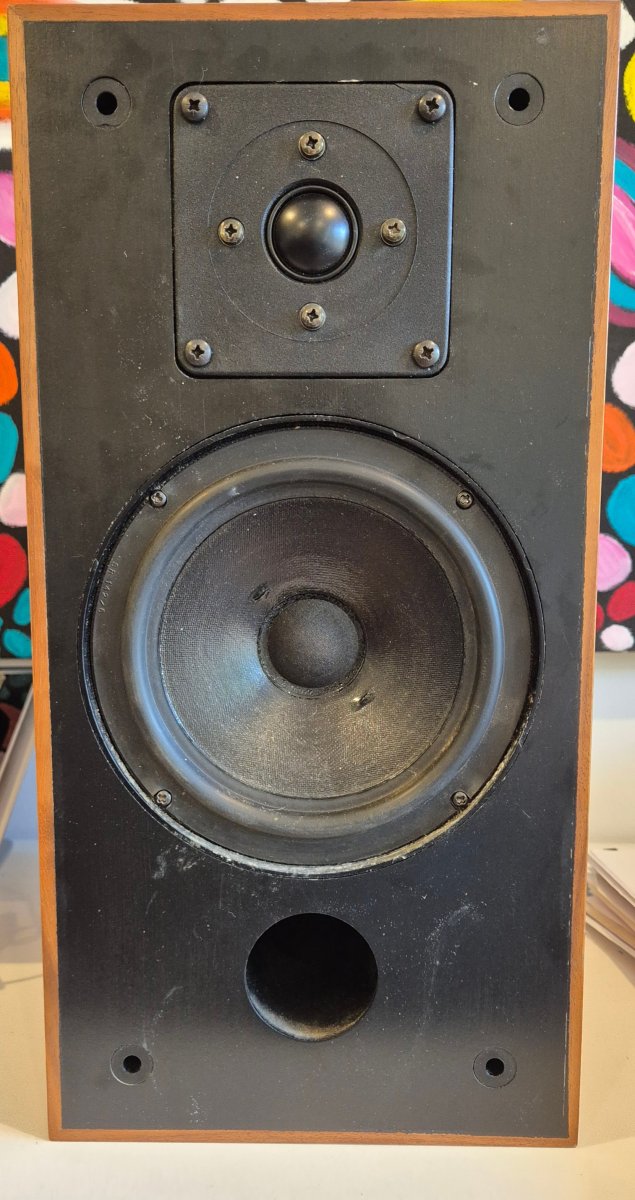 Help needed for unknown Celef Speaker