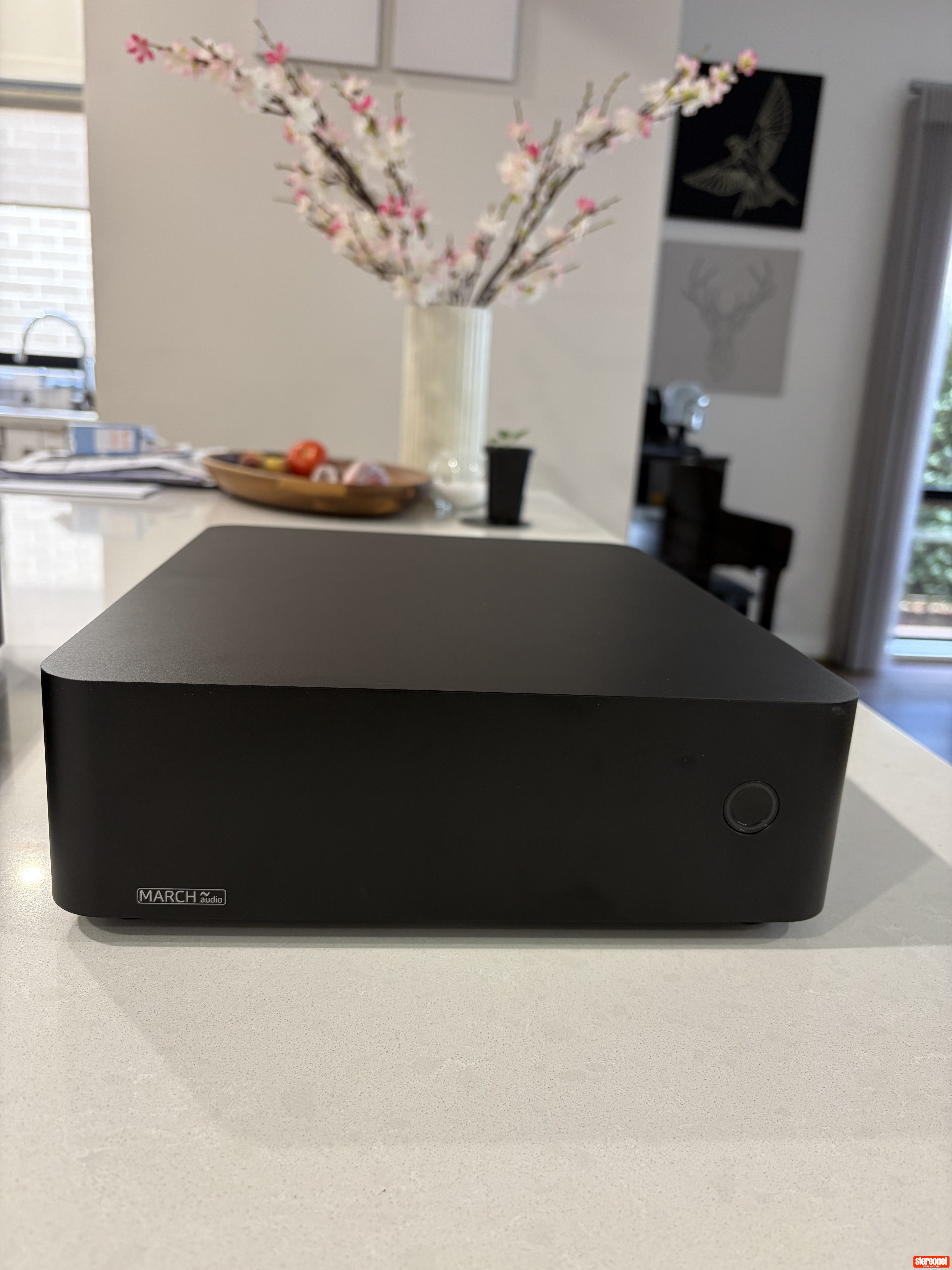 March Audio P501 Mono Amplifiers