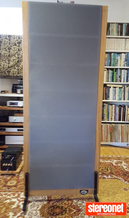 Kingsound King II Electrostatic Loudspeakers