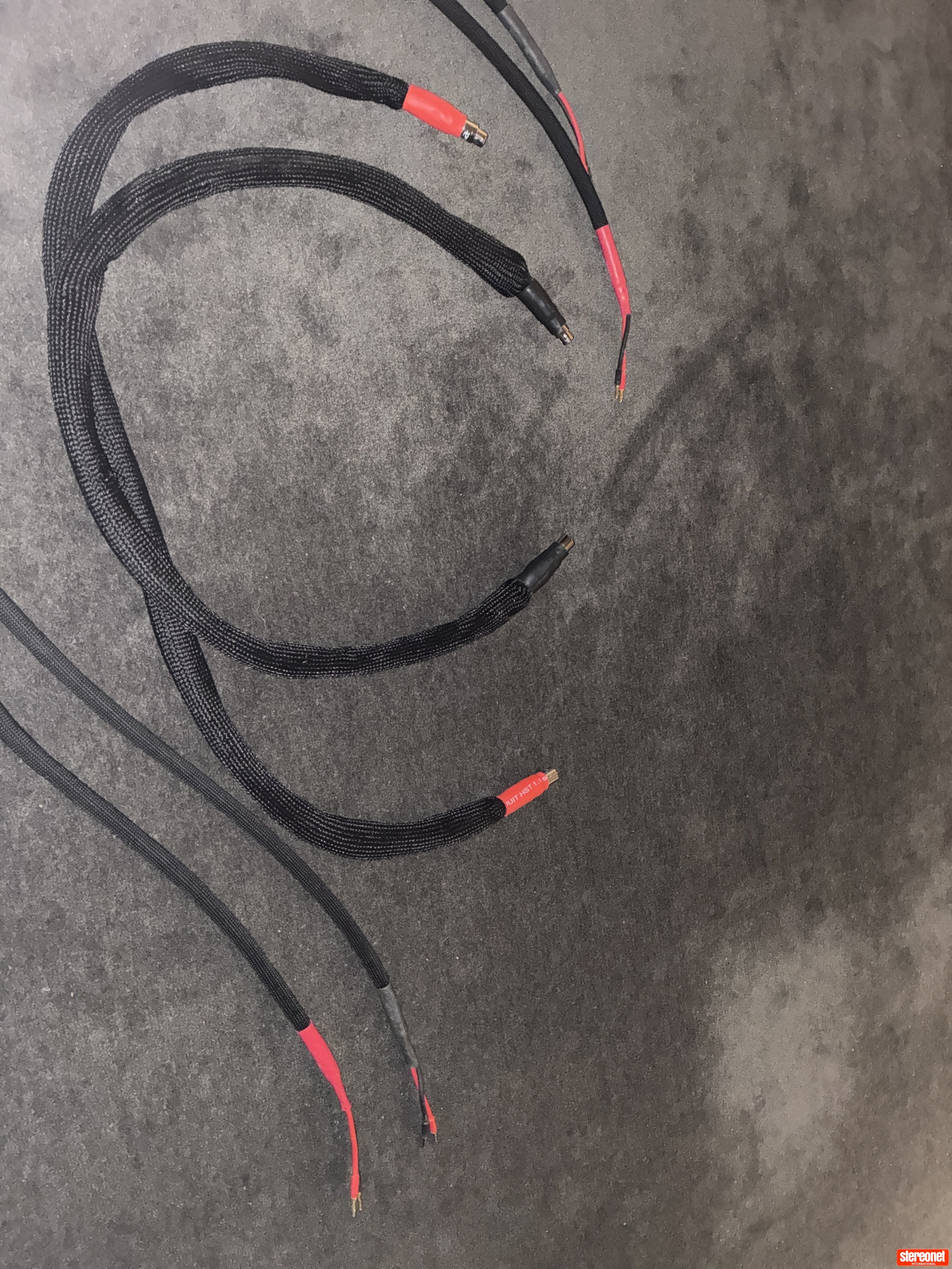 Time Portal Signature XLR Plugs