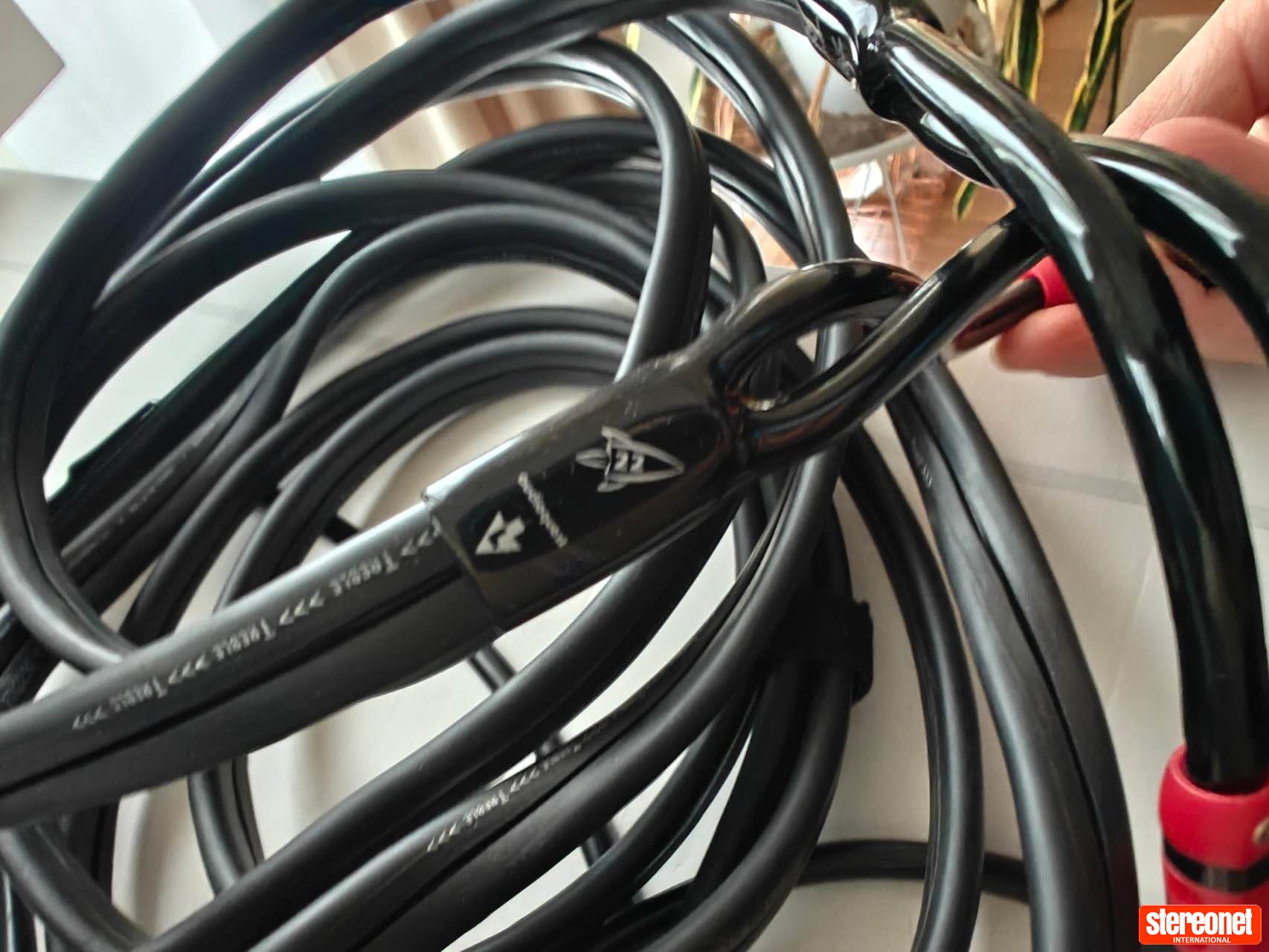 AudioQuest Rocket22 Speaker Cables