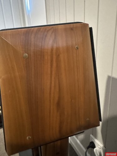 Sonus Faber Concerto Home Standmount Loudspeakers - Bookshelf & Small ...