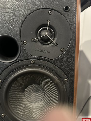 Sonus Faber Concerto Home Standmount Loudspeakers - Bookshelf & Small ...